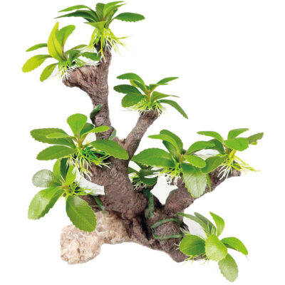 Tronco con Alternanthera verde (SEDA) (27 cm)