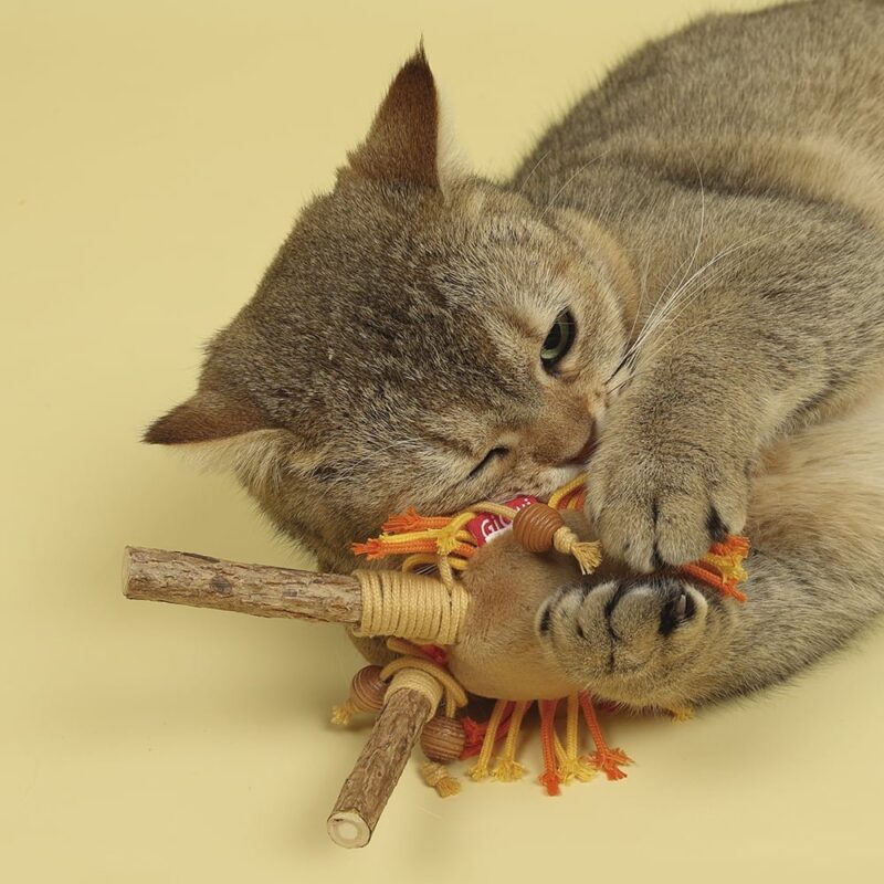 Juguetes GiGWI para gatos con HOJAS SILVERVINE línea ECO LINE