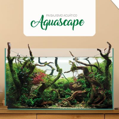 Aquascape: acuarios sin marcos para un paisaje natural