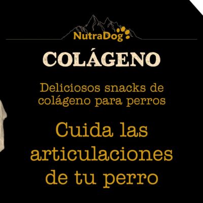 NutraDog Colágeno: cuida sus articulaciones de forma natural