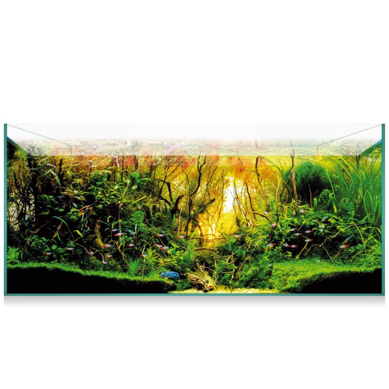 Aquascape: acuarios sin marcos para un paisaje natural