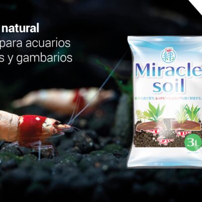 Miracle Soil: sustrato natural para plantas y gambitas