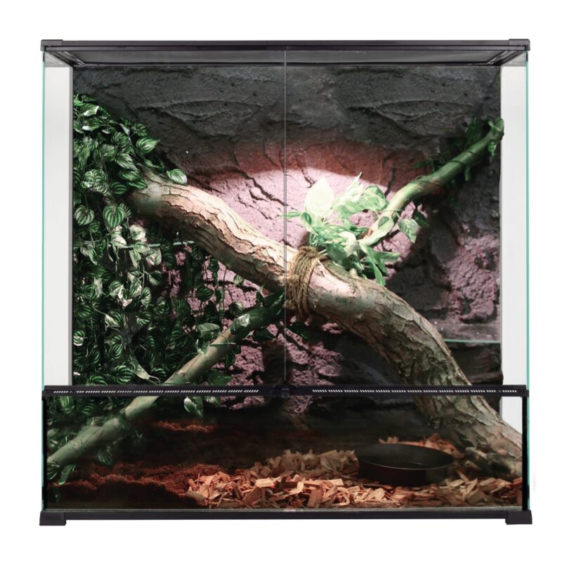 REPTIZOO ya disponible en ICA: innovación y calidad para reptiles