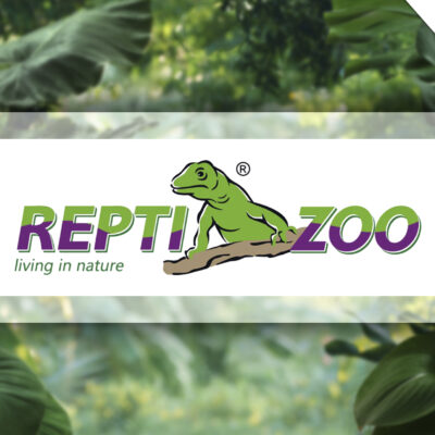 REPTIZOO ya disponible en ICA: innovación y calidad para reptiles
